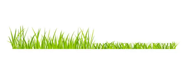 Vector illustration of Green grassland lawn field border flat style design vector illustration isolated on white background.