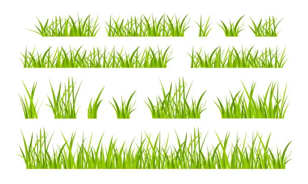 Vector illustration of Green grassland lawn field border flat style design vector illustration set