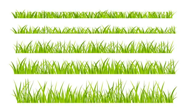 Vector illustration of Green grassland lawn field border flat style design vector illustration set