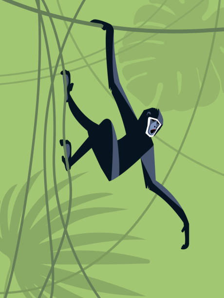 Monkey A monkey hangs on a liana and angrily screams against the background of a green jungle, stylized image, vector illustration liana stock illustrations