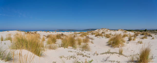 le meravigliose dune di sabbia bianca di porto pino in sardegna, italia. ambiente selvaggio e incontaminato. destinazione turistica. meraviglie della natura - majestic landscape arid climate beach foto e immagini stock