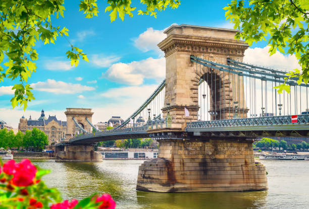 istock Flowers and Chain bridge 1324498867