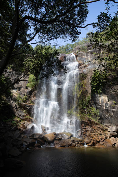 istock Trevethan Falls is a remote idylicfreswater waterfall with a rock pool at its base located near Cooktown in far north queensland. Cooktown, Quensland, Australia 1324499896