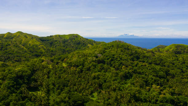 istock Hills and mountains with tropical vegetation. Bohol, Philippines 1324499924