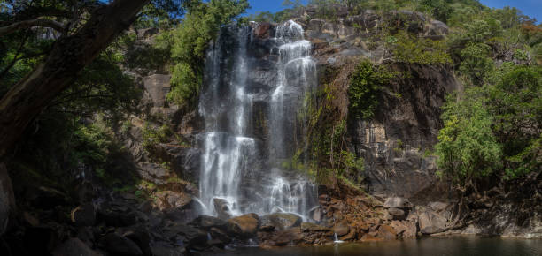 istock Trevethan Falls is a remote idylicfreswater waterfall with a rock pool at its base located near Cooktown in far north queensland. Cooktown, Quensland, Australia 1324499989