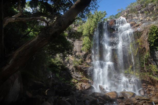 istock Trevethan Falls is a remote idylicfreswater waterfall with a rock pool at its base located near Cooktown in far north queensland. Cooktown, Quensland, Australia 1324500215
