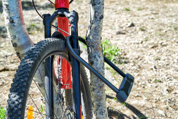 istock Bike is secured to a tree with a powerful anti-theft lock 1324502231
