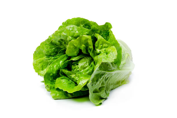 istock A head of fresh lettuce lies on a white isolated background. 1324502826