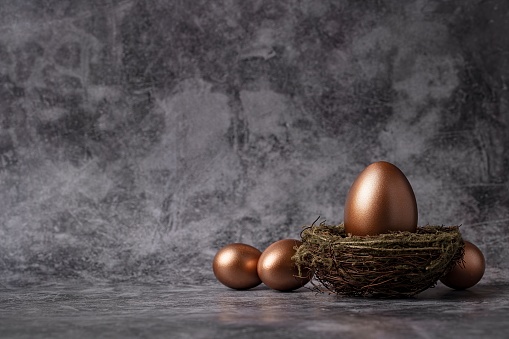 Financial Concept. Golden Eggs in Hay Nest on Dark Background. Blank space. Still life. Studio shot.
