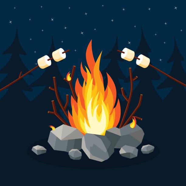 ilustrações de stock, clip art, desenhos animados e ícones de cartoon fire flames, bonfire, campfire in forest. vector illustration - campfire