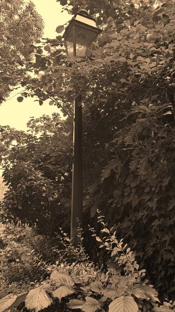 istock Lamppost in the middle of nature 1324506048
