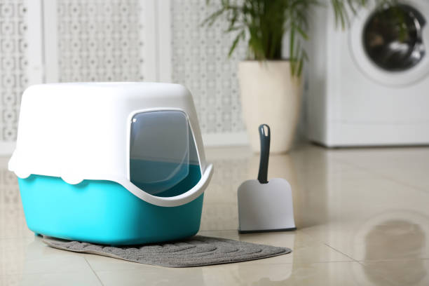 istock Cat litter box and scoop on floor in bathroom 1324506345