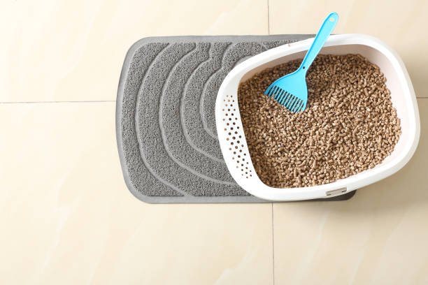 istock Cat tray with biodegradable litter and scoop on floor, top view. Space for text 1324506514
