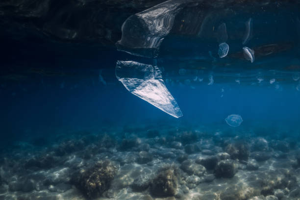 istock Underwater ocean with plastic bag, ecological problem in World ocean 1324507386