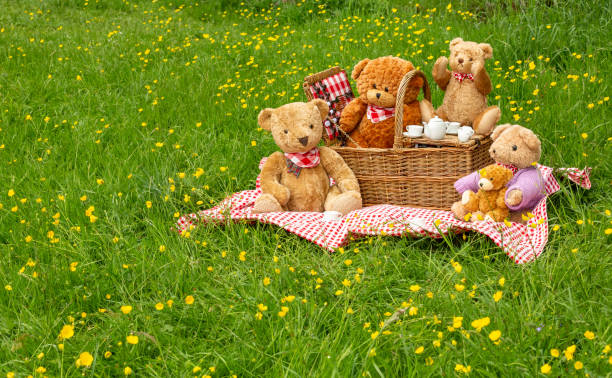 cinco ursos desfrutam de um piquenique de urso de pelúcia no colorido prado de flores silvestres de swaledale, com xícaras de manteiga amarelas frescas. conceito: saúde, natureza, ao ar livre, prazer - swaledale - fotografias e filmes do acervo