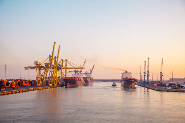 panoramic of an industrial port panoramic of an industrial port on the mediterranean sea at sunrise with crane and ship livorno stock pictures, royalty-free photos & images