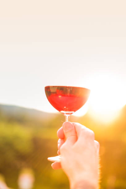 istock Man's hand holding glass of red wine, sunset wine drinking 1324514830