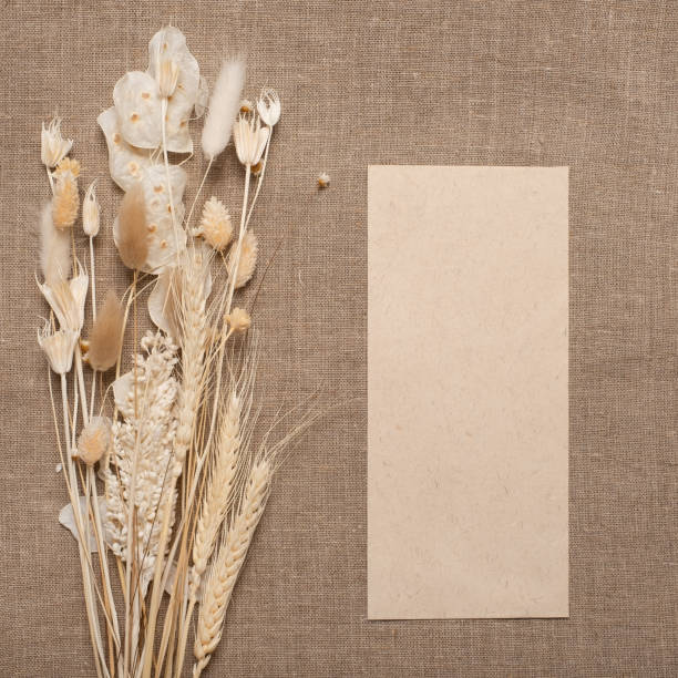 istock Dried wildflowers with envelope. Eco style in design. 1324515742