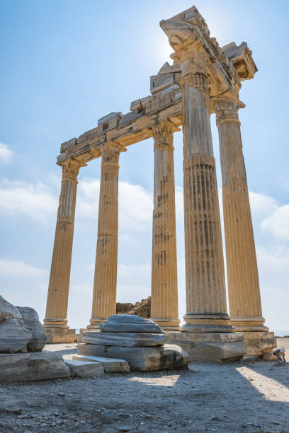 templo de apolo ruínas antigas na turquia. antigos colums em dia ensolarado. - ancient civilization ancient traditional culture vertical - fotografias e filmes do acervo