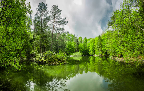 istock Water reflection in a beautiful forest lake 1324516754