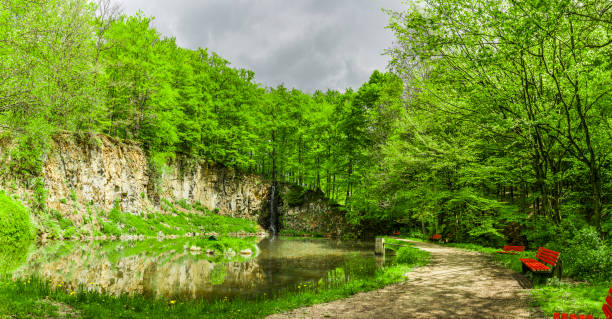 istock Water reflection in a beautiful forest lake 1324516814