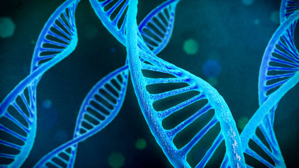 istock DNA Spine, Biology Scientific concept illustration, 3D rendering 1324518303