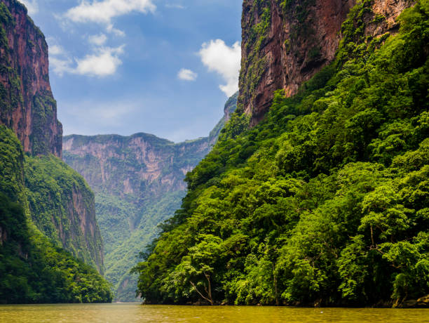 Impressive view of Sumidero Canyon and its lush forest from Grijalva river, Chiapas, Mexico Impressive view of Sumidero Canyon and its lush forest from Grijalva river, Chiapas, Mexico mexico chiapas cañón del sumidero stock pictures, royalty-free photos & images