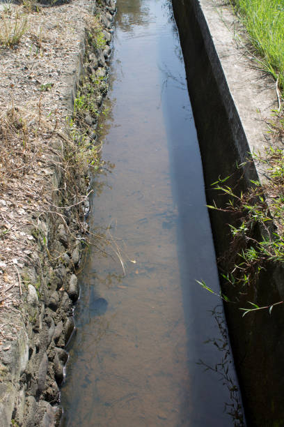 istock small ditch by the rice field 1324528690