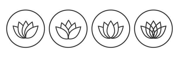 연꽃, 윤곽선 및 원 아이콘 세트 - water lily lotus water lily stock illustrations