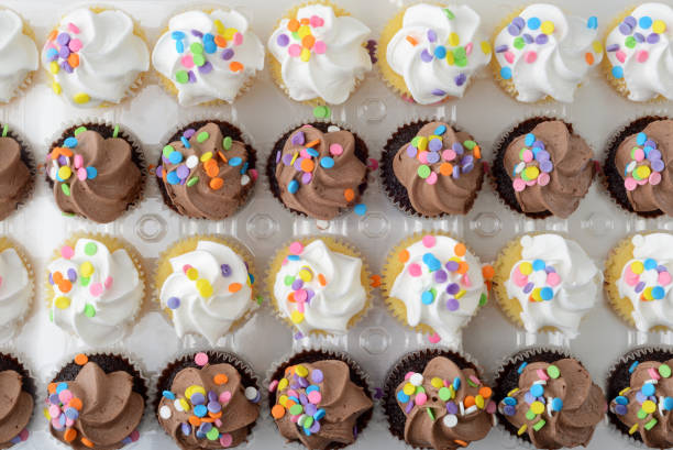 istock rows of chocolate and vanilla cupcakes 1324531078
