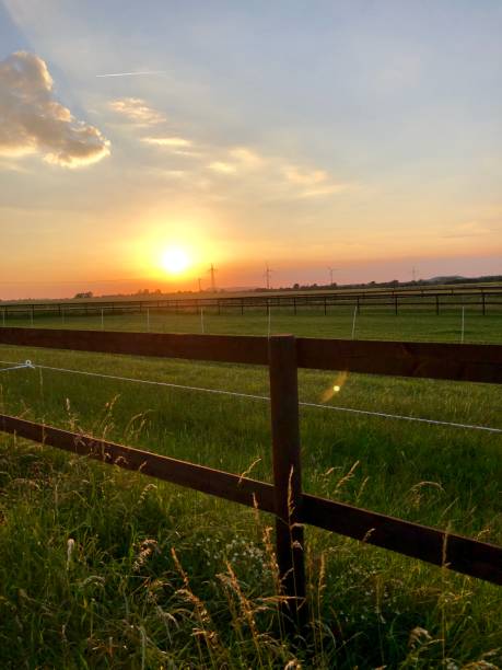 istock Late afternoon in the countryside 1324532736