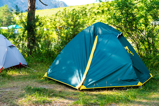 green camping tent in forest