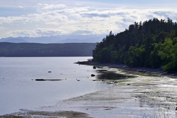 istock Views of Hood Canal 1324539402