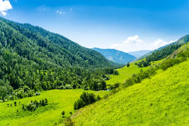 mountain valley at summer time, bright blue sky with fluffy clouds