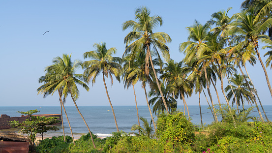 Beautiful Anjuna beach in the northern Goa, India. Popular beach vacations destination in Goa with blue Arabian Sea waves, rocks, and typical beach cafe.