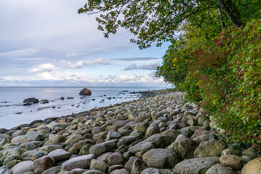 The Baltic Sea coast with the Swan Stone in Lohme, Mecklenburg-Western Pomerania, Germany