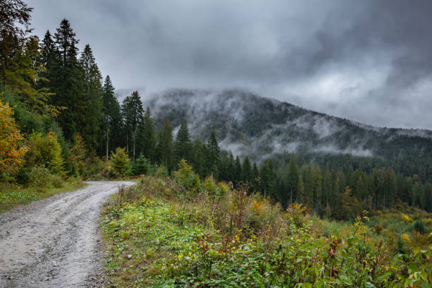 istock Old forestry road linking Moldova with Transilvanya called Drumul Talienilor (Italians’ road) passing through foggy forests in an autumn day in Northern Romania 1324549467
