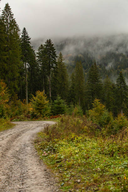 istock Old forestry road linking Moldova with Transilvanya called Drumul Talienilor (Italians’ road) passing through foggy forests in an autumn day in Northern Romania 1324549621