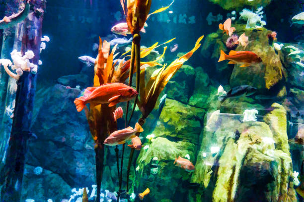 istock Aquarium Fish Illustration 1324550873