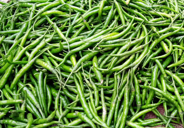 istock fresh green chilli sell at market in india 1324553425