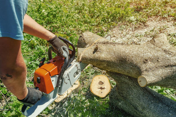 istock male worker cuts wood with an electric chainsaw 1324555168