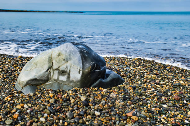 Large rock with background of blue ocean and pebbles.