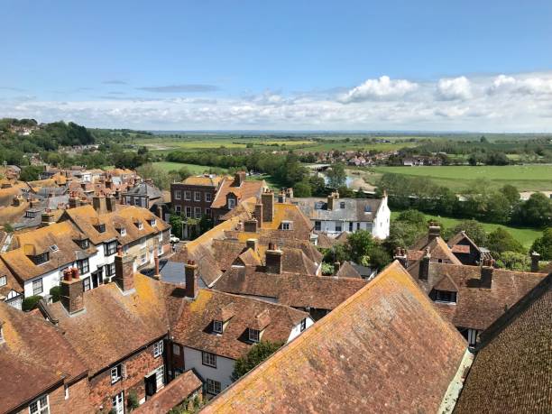 istock Details of Rye 1324558541