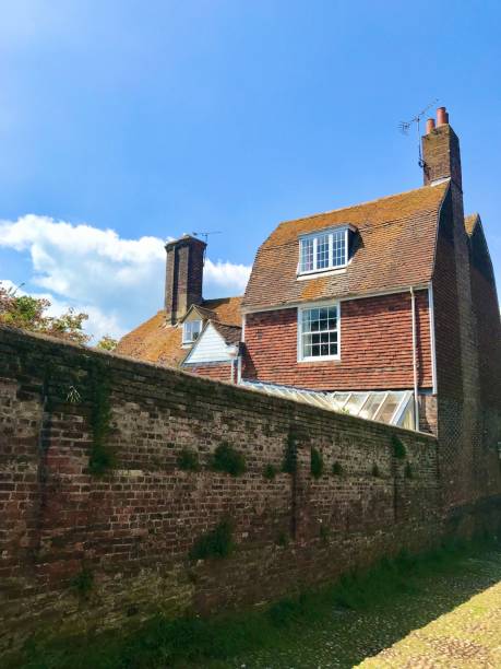 istock Details of Rye 1324560258