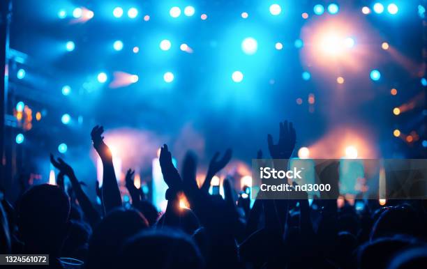 Party People Enjoy Concert At Festival Summer Music Festival Stock Photo - Download Image Now