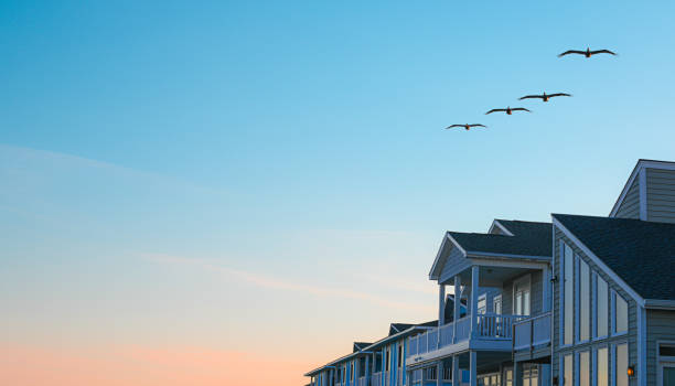 pellicani e case sulla spiaggia - coastal property foto e immagini stock