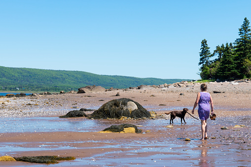 A mature woman walking with her Labrador Retriever puppy in a pretty rugged beach in