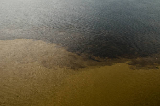 istock Meeting of the waters in the Amazon 1324569270