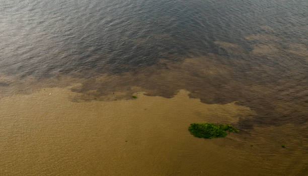 istock Meeting of the waters in the Amazon 1324569272