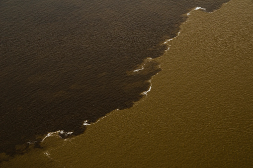 The Meeting of Waters (Portuguese: Encontro das Aguas) is the confluence between the Rio Negro, a river with dark (almost black coloured) water, and the sandy-coloured Amazon River or Rio Solimoes